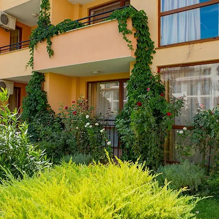 Paradise Dreams Menada סבטי ולאס